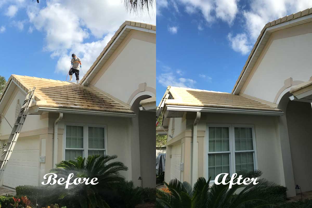 Before & After Roof Cleaning